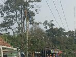 IMG-20260812-WA0019
