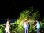 IMG-20261030-WA0016